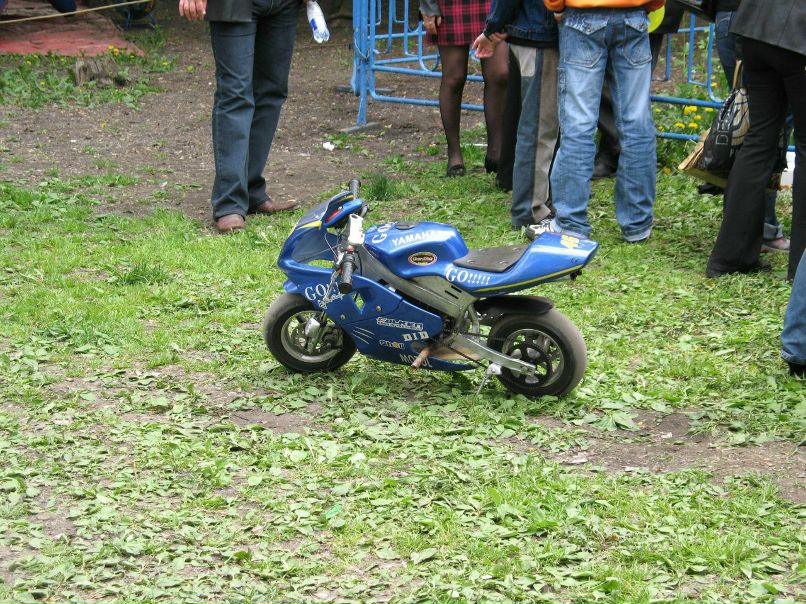 Александр Поляченко Владимирович | Донецк