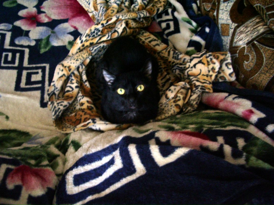 Виталя Никифоров Павлович | Хабаровск