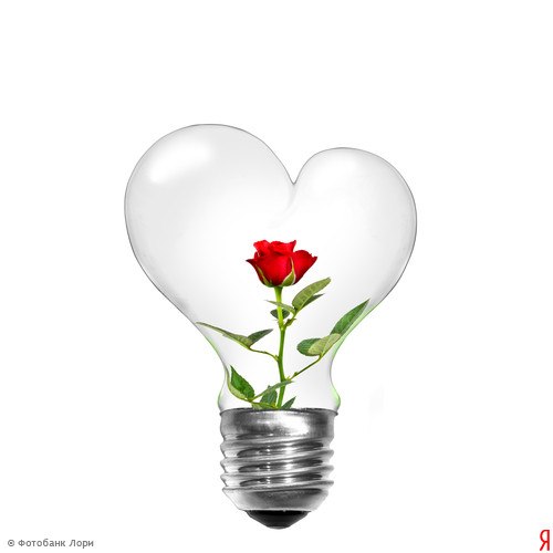 Ирина Клюева | Санкт-Петербург