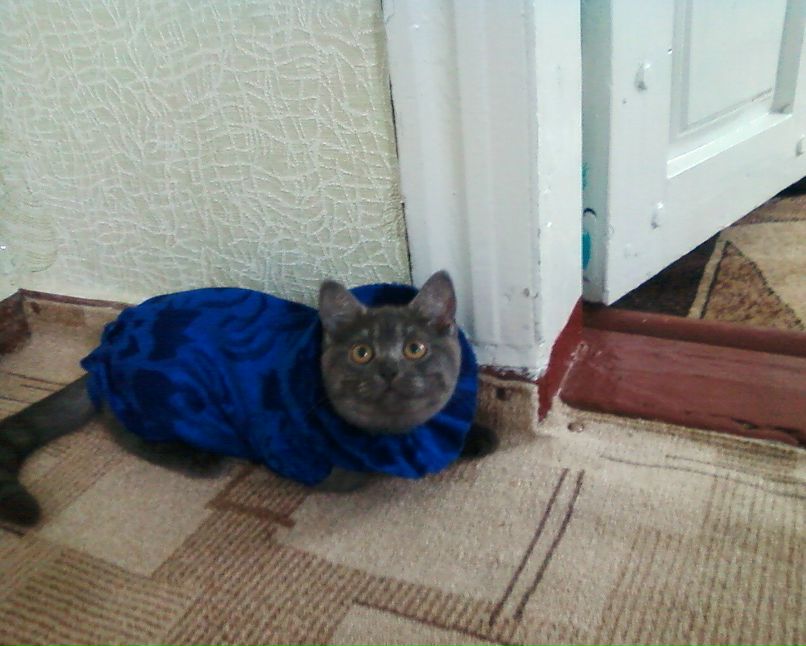 Тамара Бараненко | Козелец