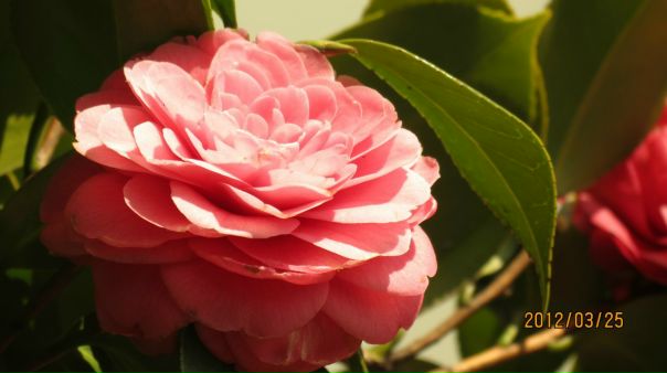 №64, Сергій Стасюк, 41 год, Ровно №64, Сергій Стасюк, 41 год, Ровно