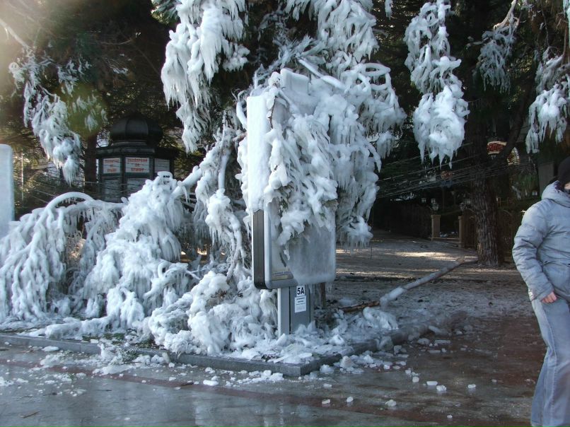 Valentina Tarasevich | Ялта