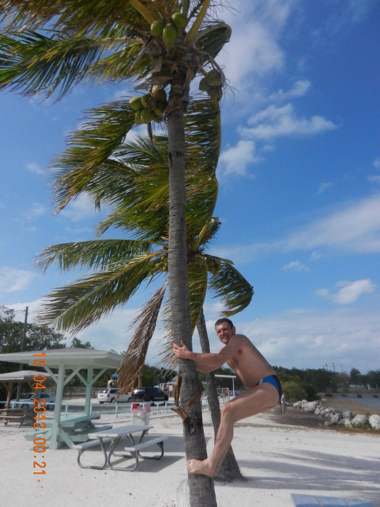 Сергей Котов | Сосновый Бор (поселок)