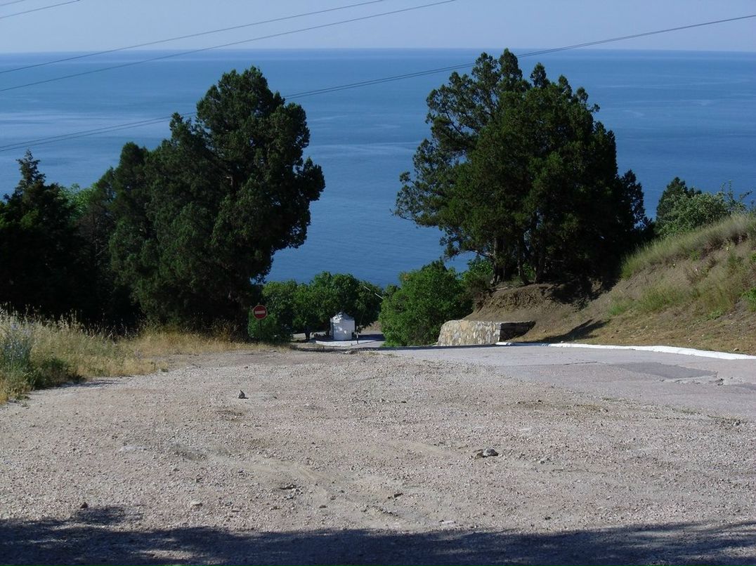 Инна Златкус | Несвиж