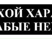 Анна Синенко | Москва