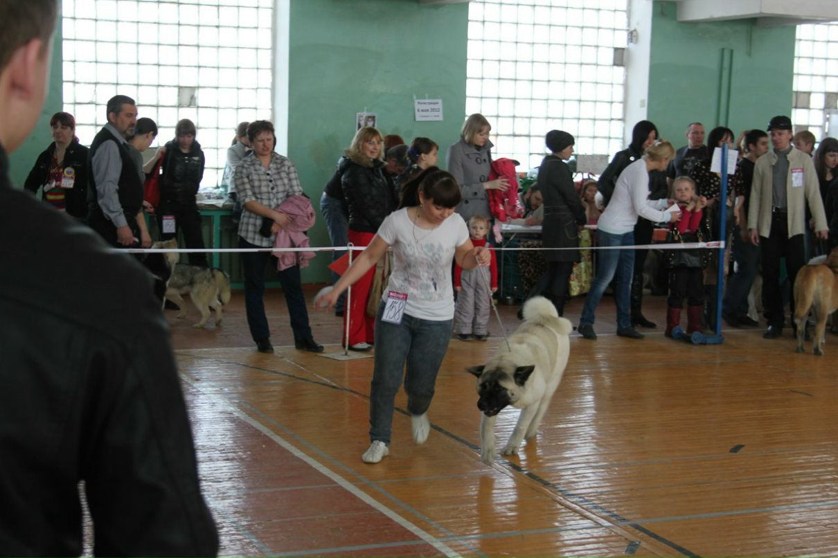 Дмитрий Беспалов | Челябинск