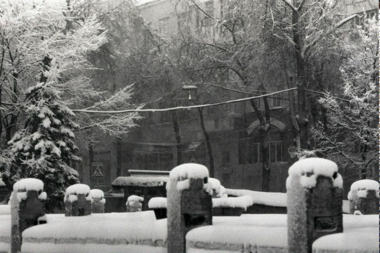 Алексей Горбачёв | Брянск