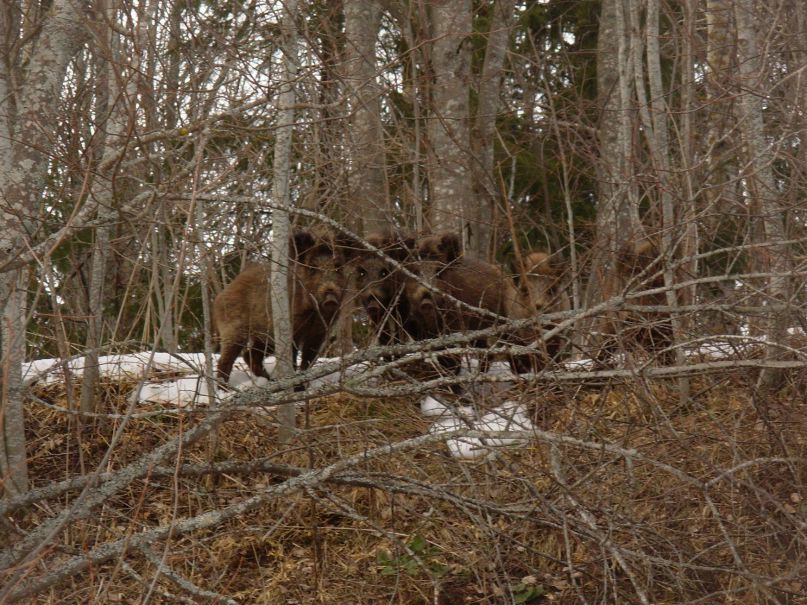 Александр Матросов | Санкт-Петербург