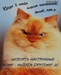 Иван Акулов фотография #26 (источник - https://vk.com/id96887834)