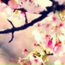 Елена Князева АЛЁНЧИК | Борисоглебск