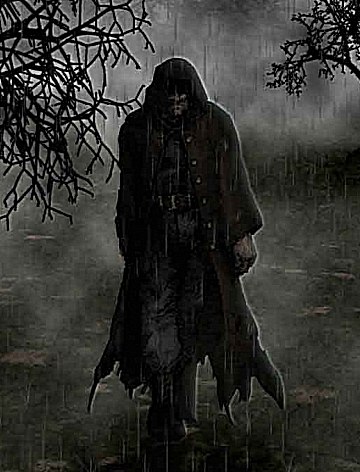 Виталий Сидоренко | Санкт-Петербург