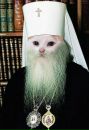 Фотография Бутылка Блевун