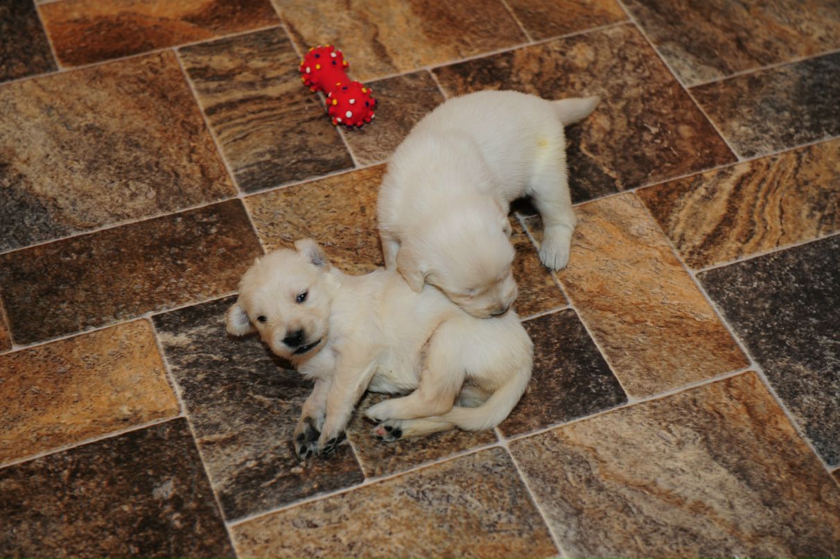 Оксана Баракова ★Okeanaclear★ | Таллин