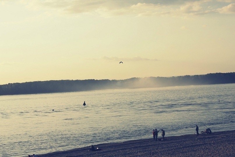 Саша Плис | Санкт-Петербург