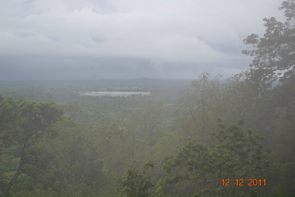 Виталий Литвиненко | Киев