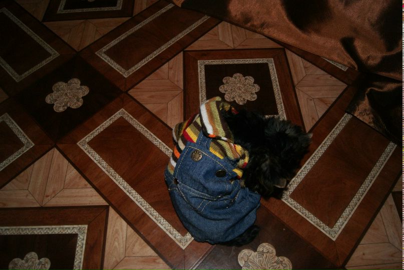 Евгения Рожкова | Самара