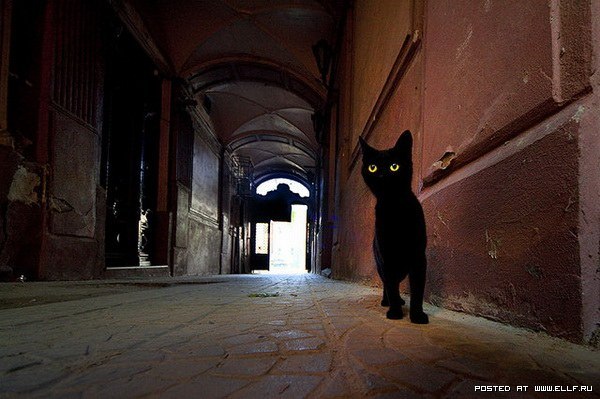 Ирина Владимировна | 