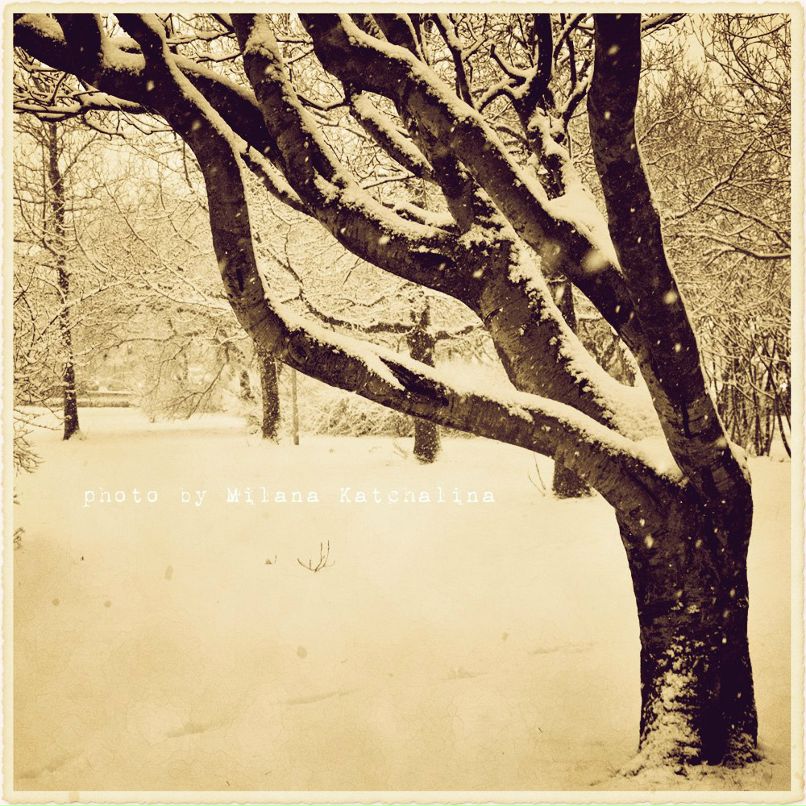 Милана Качалина | Reykjavík