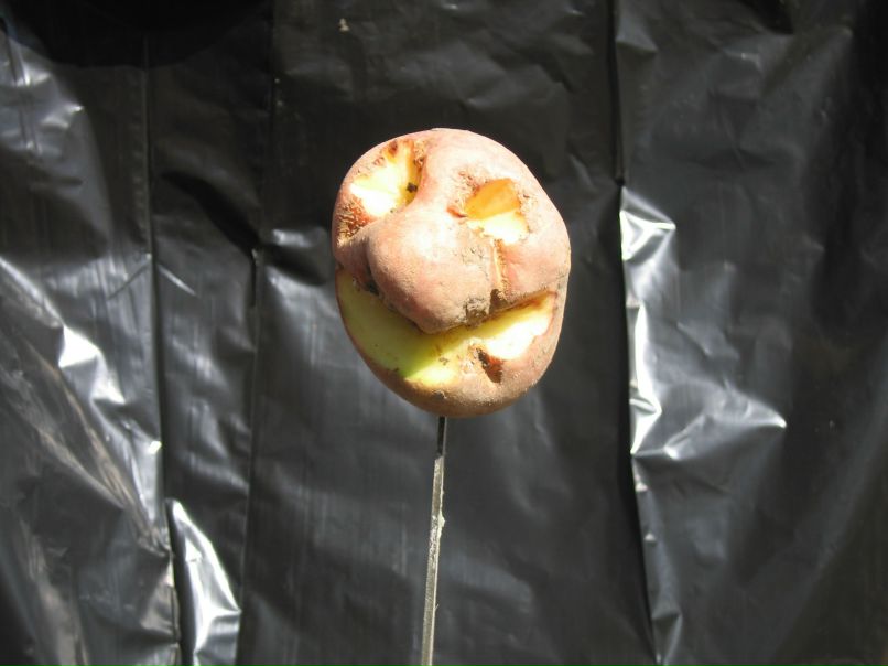 Максим Апарин | Москва