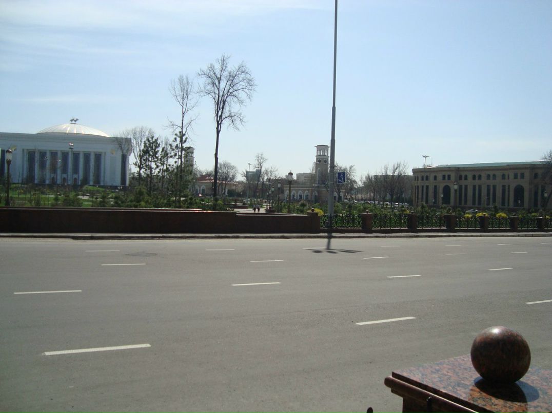 Светлана Чеплакова | Новосибирск