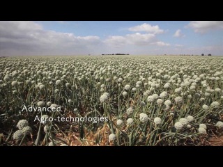 Весь Израиль за 6 минут