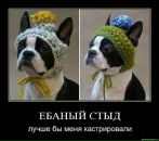 Фотография Саша Костюков