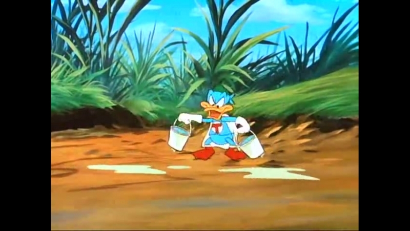 Приключения мультяшек (10 серия) Правила безопасности для