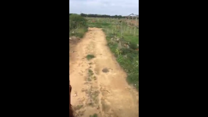 Periscope Ignazio