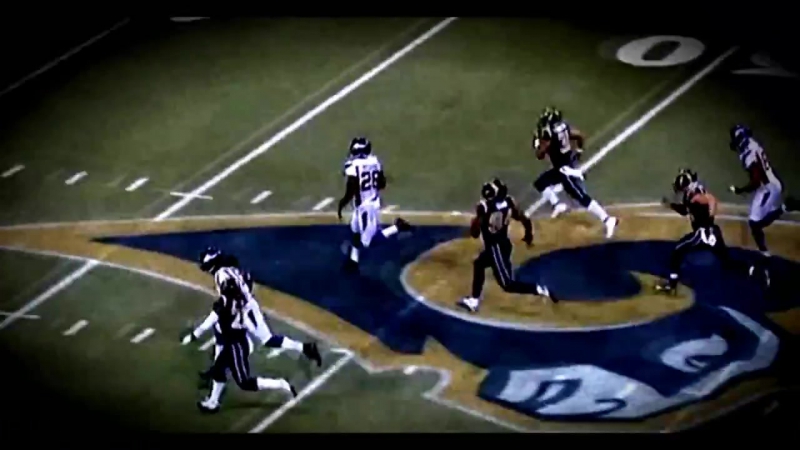 Adrian Peterson Minnesota Vikings RB,