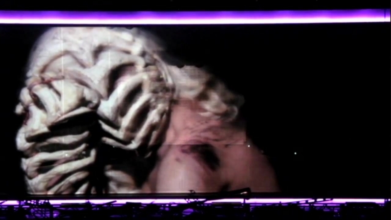 2009, , The Monster Ball Tour 1. 0 Dad Tattoo