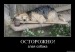 Екатерина Оласюк фотография #35 (источник - https://vk.com/id6870454)