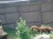 Денис Жуков фотография #29