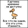 Аватар: &nbsp; &nbsp;