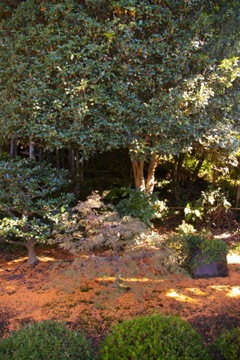 №17, Ryota Shiomi, 40 лет, Hamamatsu №17, Ryota Shiomi, 40 лет, Hamamatsu