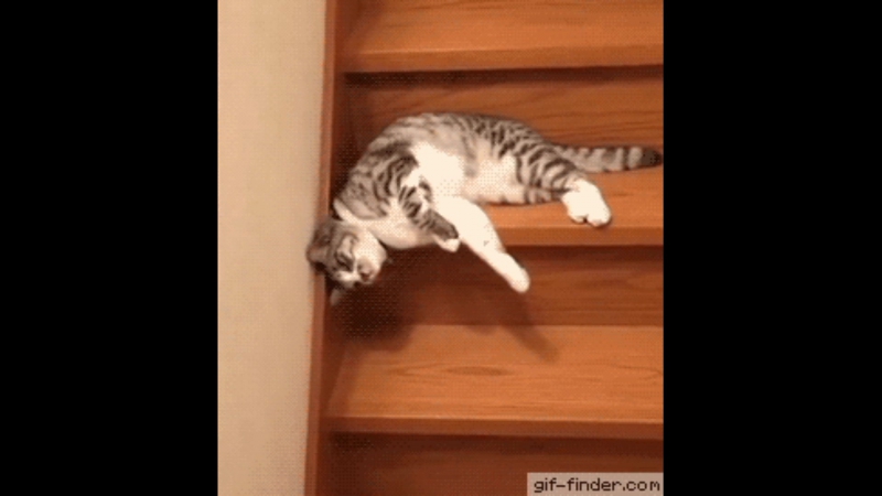 Meow motivation for parodic