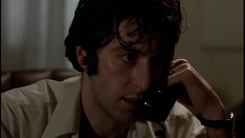 Собачий полдень, Dog Day Afternoon