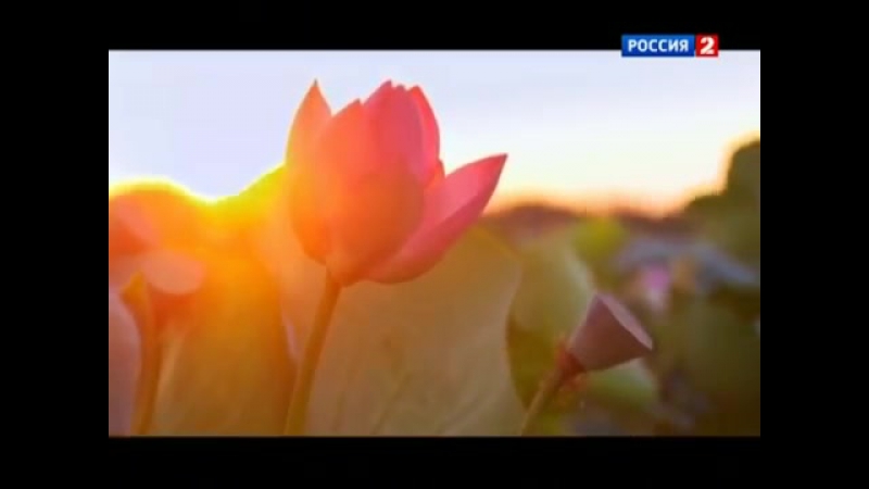 Чудеса России. Баскунчак- русское Мертвое море