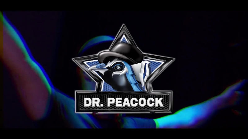 Dr. Peacock Hyrule War Frenchcore