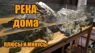 РЕКА ДОМА. ПЛЮСЫ И МИНУСЫ. RIVER in the House. THE PROS AND CONS.