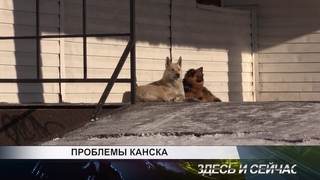 проблемы канска