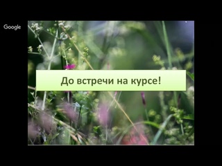 Фитооздоровление. Елена Корсун. 4