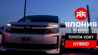 Тест драйв Toyota Voxy | Минивэн для всей семьи