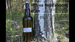 Пиво на берёзовом соке. IPA “Берёзка“