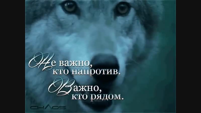 Не важно кто я. Не важно кто важно кто тот. Неважно кто напротив важно кто рядом. Не важно кто ты важно кто ты. Не важно кто на провтив важно кто рядом.