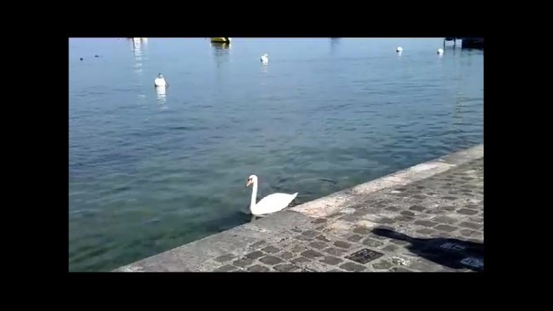 Vacanze