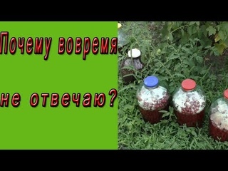 Почему вовремя не отвечаю на комментарии? Обзор...