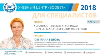 Светлана Белова в УЦ «Зоовет» | Диагностические алгоритмы для дерматологических пациентов ч. 1/2