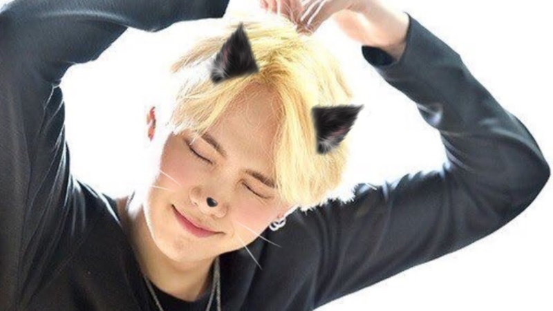 Yoongi Being the Playful Kitten He