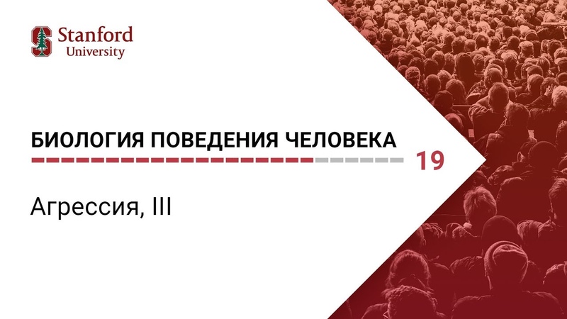 Биология поведения человека: Лекция, 19. Агрессия, І II Роберт