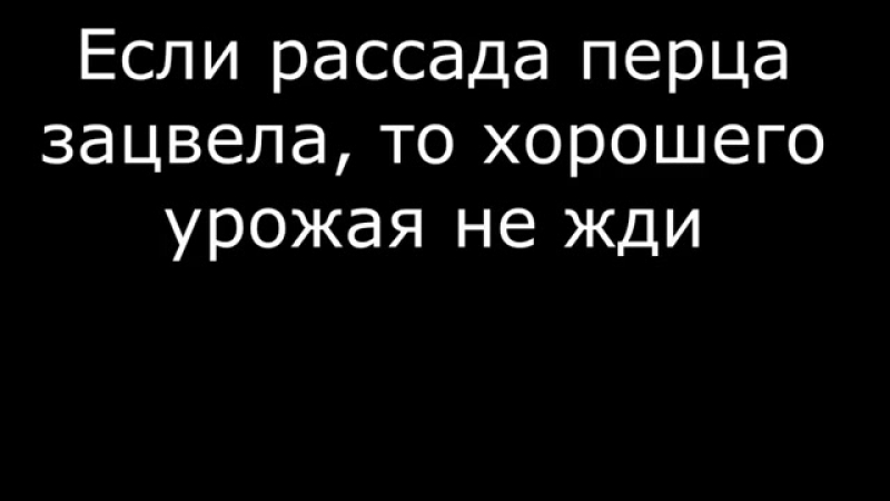 ВЫРАЩИВАНИЕ УРОЖАЙНОГО ПЕРЦА от семян до уборки